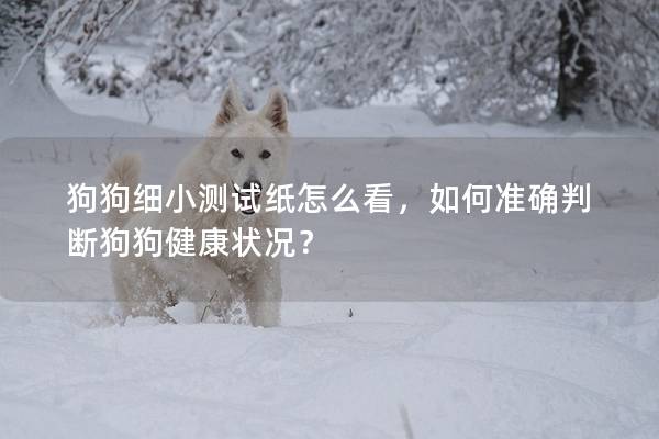 狗狗細小測試紙怎么看，如何準確判斷狗狗健康狀況？