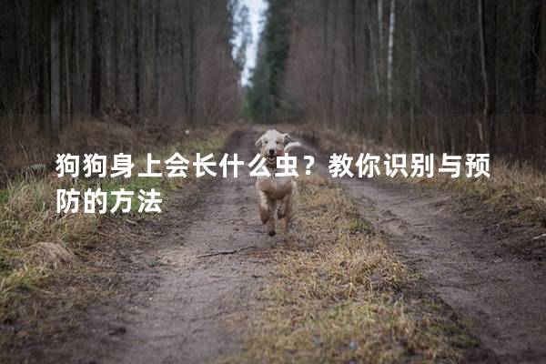 狗狗身上會長什么蟲？教你識別與預防的方法