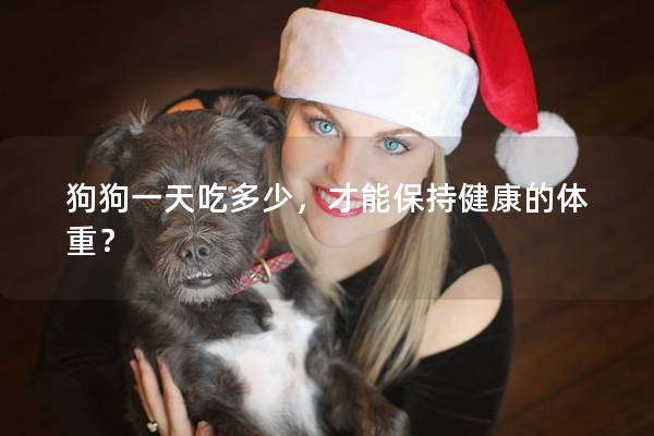 狗狗一天吃多少，才能保持健康的體重？