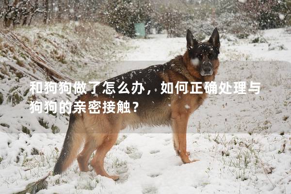 和狗狗做了怎么辦，如何正確處理與狗狗的親密接觸？