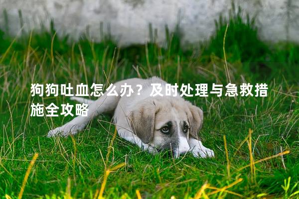狗狗吐血怎么辦？及時處理與急救措施全攻略