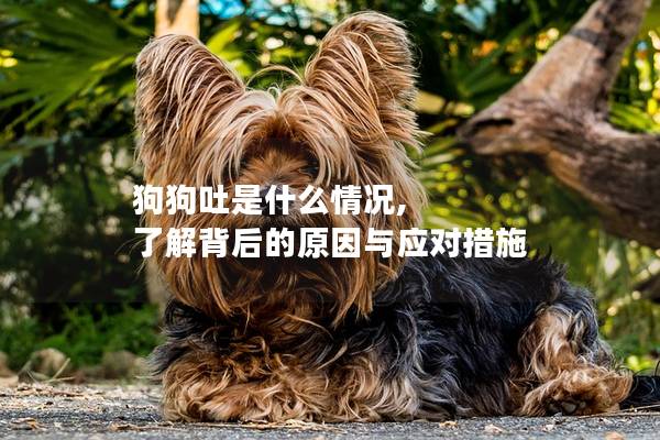狗狗吐是什么情況, 了解背后的原因與應(yīng)對(duì)措施