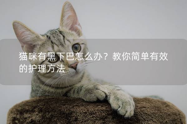 貓咪有黑下巴怎么辦？教你簡單有效的護(hù)理方法