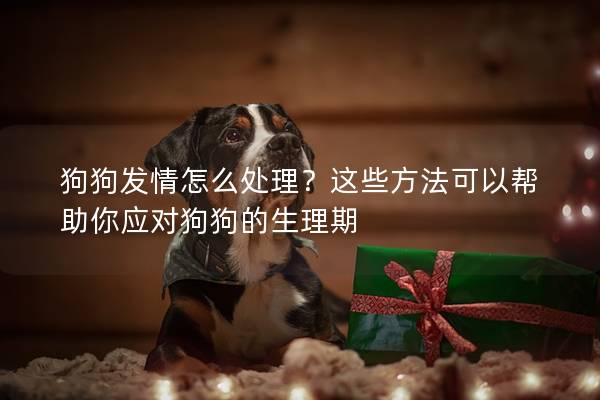 狗狗發情怎么處理？這些方法可以幫助你應對狗狗的生理期