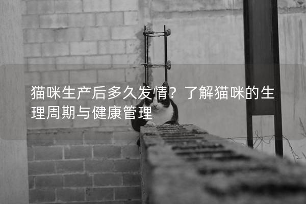 貓咪生產后多久發情？了解貓咪的生理周期與健康管理
