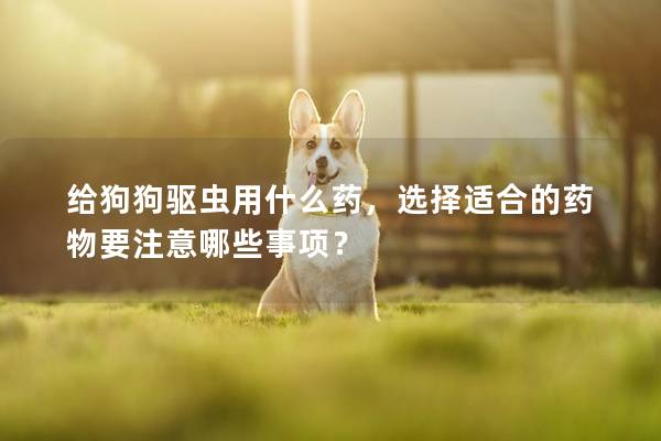給狗狗驅蟲用什么藥，選擇適合的藥物要注意哪些事項？