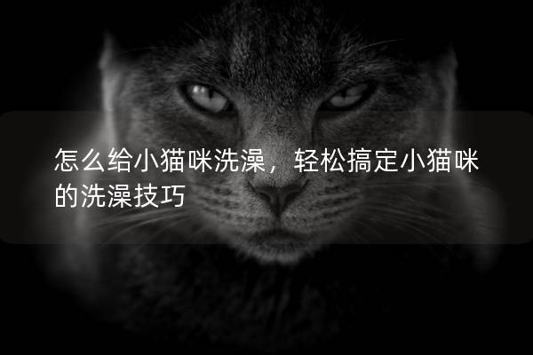 怎么給小貓咪洗澡，輕松搞定小貓咪的洗澡技巧