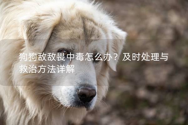 狗狗敵敵畏中毒怎么辦？及時處理與救治方法詳解