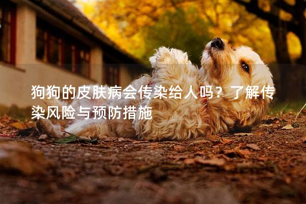 狗狗的皮膚病會(huì)傳染給人嗎?了解傳染風(fēng)險(xiǎn)與預(yù)防措施 狗狗的皮膚病會(huì)傳染給人嗎?了解傳染風(fēng)險(xiǎn)與預(yù)防措施