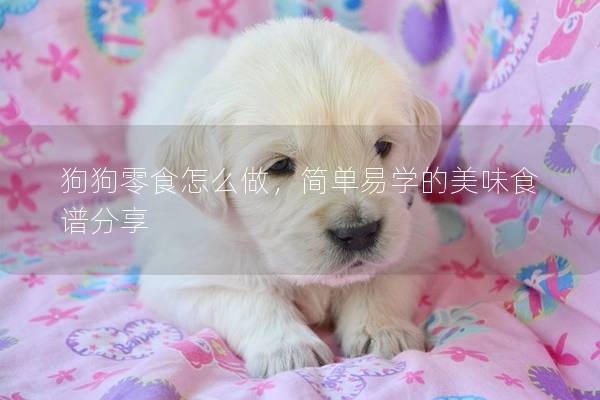 狗狗零食怎么做，簡單易學(xué)的美味食譜分享