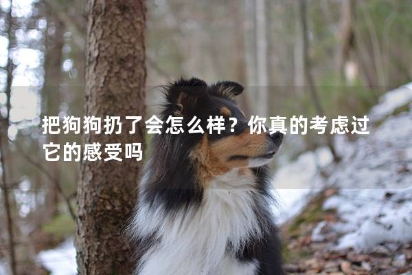 把狗狗扔了會怎么樣？你真的考慮過它的感受嗎