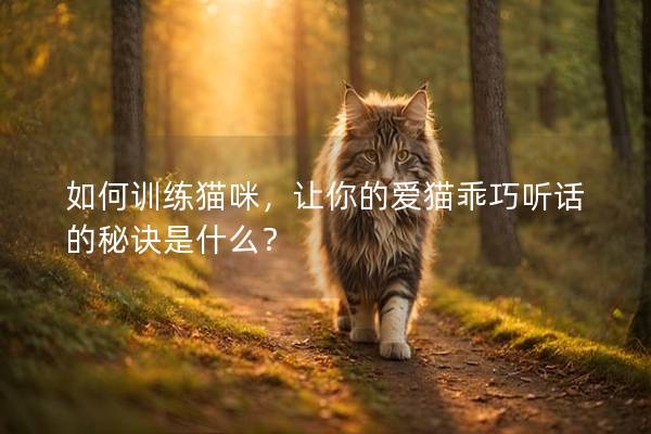 如何訓(xùn)練貓咪，讓你的愛貓乖巧聽話的秘訣是什么？