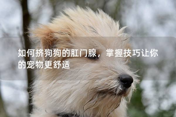 如何擠狗狗的肛門腺，掌握技巧讓你的寵物更舒適