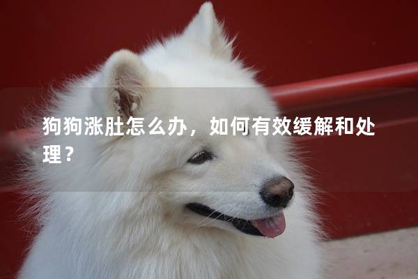 狗狗漲肚怎么辦，如何有效緩解和處理？