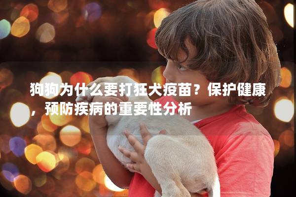 狗狗為什么要打狂犬疫苗？保護健康，預防疾病的重要性分析