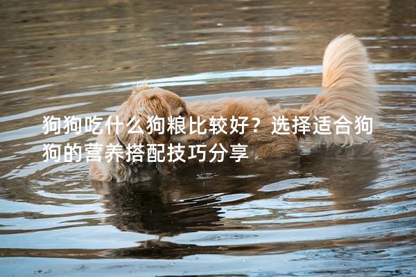 狗狗吃什么狗糧比較好？選擇適合狗狗的營養(yǎng)搭配技巧分享