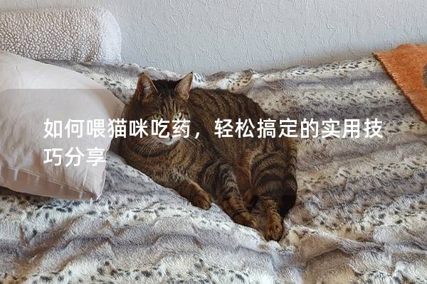 如何喂貓咪吃藥，輕松搞定的實用技巧分享