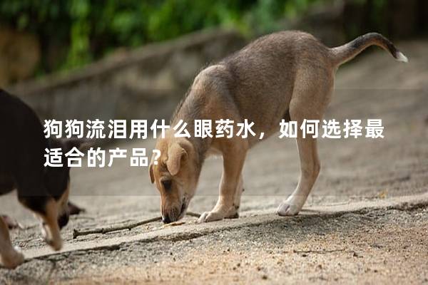 狗狗流淚用什么眼藥水，如何選擇最適合的產品？