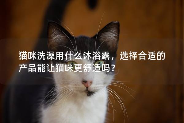 貓咪洗澡用什么沐浴露，選擇合適的產品能讓貓咪更舒適嗎？
