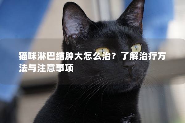 貓咪淋巴結(jié)腫大怎么治？了解治療方法與注意事項
