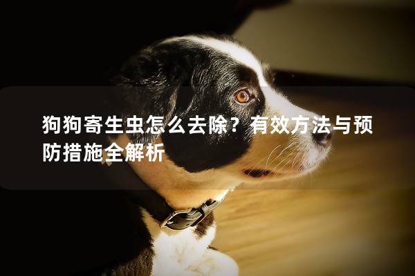 狗狗寄生蟲怎么去除？有效方法與預防措施全解析