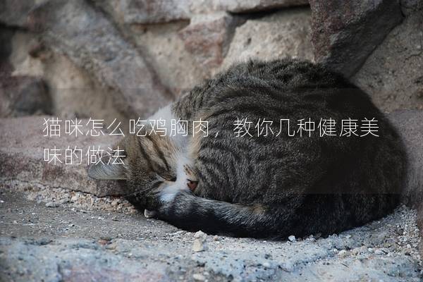 貓咪怎么吃雞胸肉，教你幾種健康美味的做法