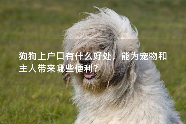 狗狗上戶口有什么好處，能為寵物和主人帶來哪些便利？