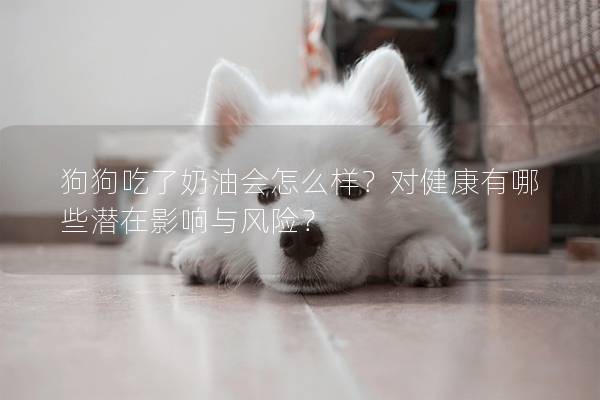狗狗吃了奶油會怎么樣？對健康有哪些潛在影響與風(fēng)險？