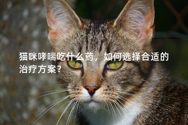 貓咪哮喘吃什么藥，如何選擇合適的治療方案？