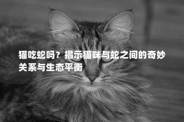 貓吃蛇嗎？揭示貓咪與蛇之間的奇妙關系與生態平衡