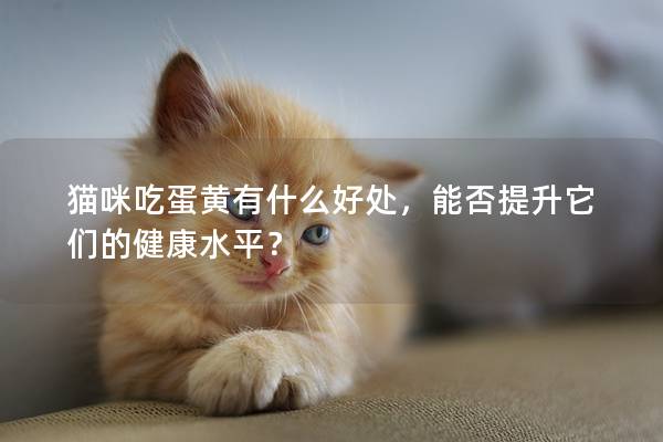 貓咪吃蛋黃有什么好處，能否提升它們的健康水平？