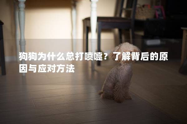 狗狗為什么總打噴嚏？了解背后的原因與應對方法