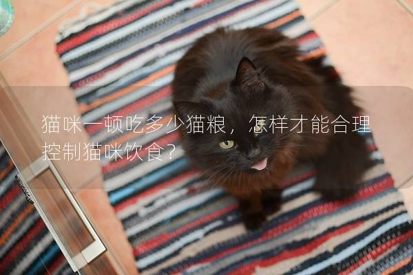 貓咪一頓吃多少貓糧，怎樣才能合理控制貓咪飲食？