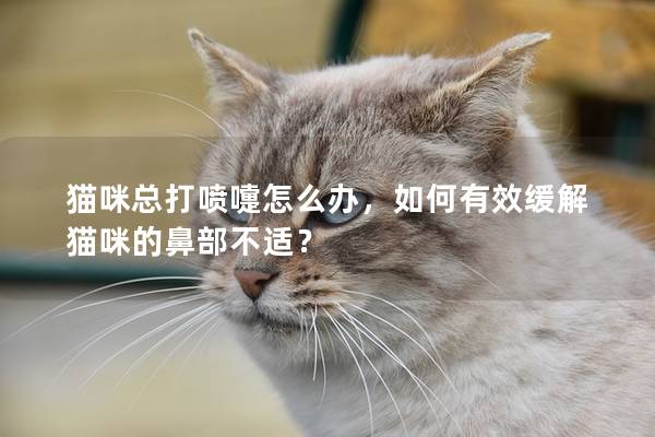貓咪總打噴嚏怎么辦，如何有效緩解貓咪的鼻部不適？