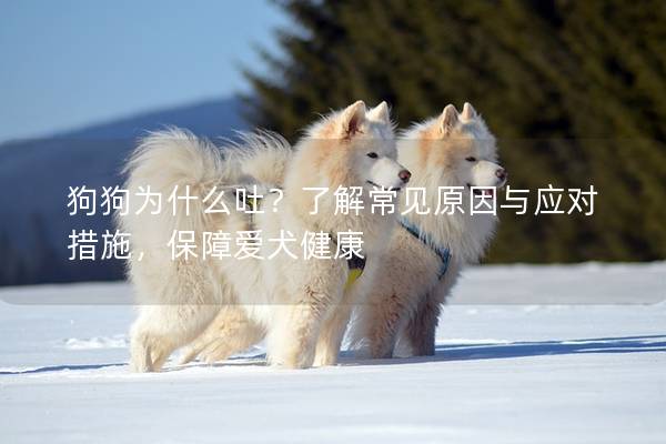 狗狗為什么吐？了解常見原因與應對措施，保障愛犬健康