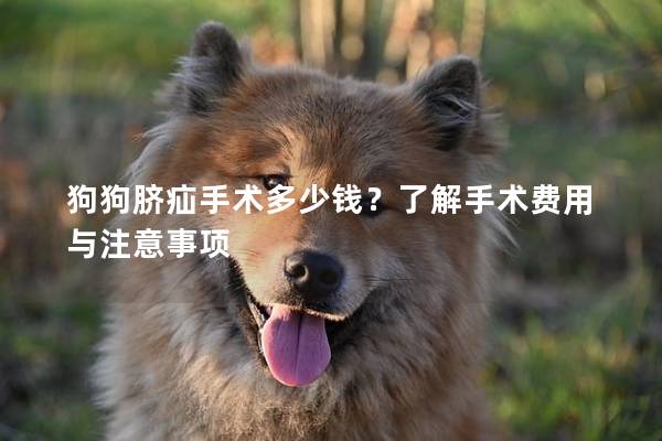 狗狗臍疝手術(shù)多少錢？了解手術(shù)費(fèi)用與注意事項(xiàng)