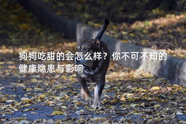 狗狗吃甜的會怎么樣？你不可不知的健康隱患與影響