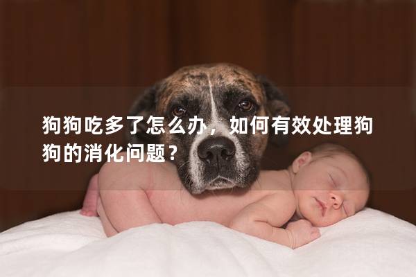 狗狗吃多了怎么辦，如何有效處理狗狗的消化問題？