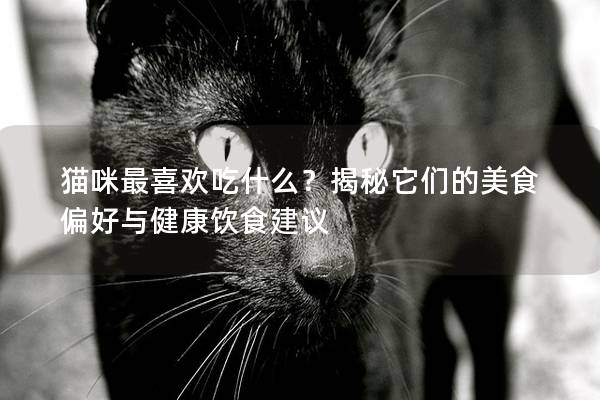 貓咪最喜歡吃什么？揭秘它們的美食偏好與健康飲食建議