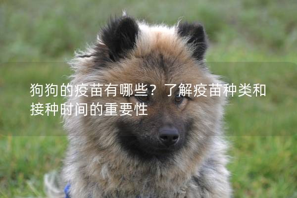 狗狗的疫苗有哪些？了解疫苗種類和接種時間的重要性