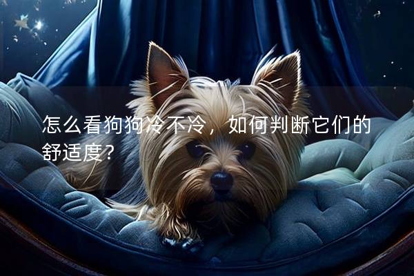怎么看狗狗冷不冷，如何判斷它們的舒適度？