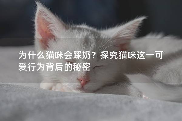 為什么貓咪會踩奶？探究貓咪這一可愛行為背后的秘密