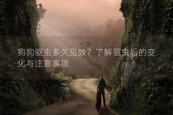 狗狗驅蟲多久見效？了解驅蟲后的變化與注意事項