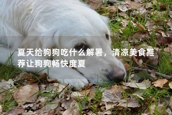 夏天給狗狗吃什么解暑，清涼美食推薦讓狗狗暢快度夏