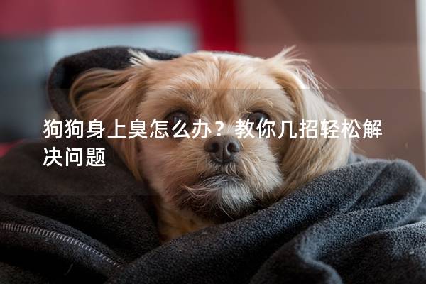 狗狗身上臭怎么辦？教你幾招輕松解決問題
