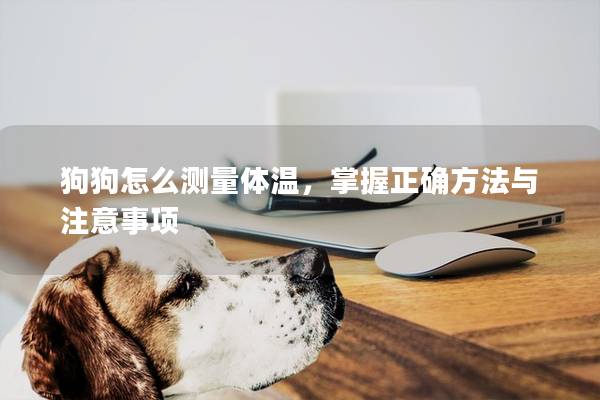 狗狗怎么測量體溫，掌握正確方法與注意事項