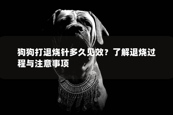 狗狗打退燒針多久見效?了解退燒過程與注意事項(xiàng) 狗狗打退燒針多久見效?了解退燒過程與注意事項(xiàng)