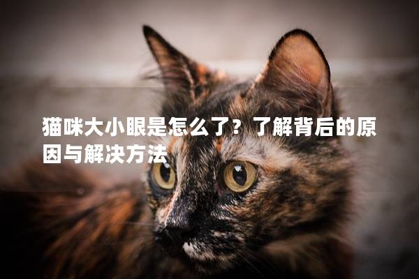 貓咪大小眼是怎么了？了解背后的原因與解決方法