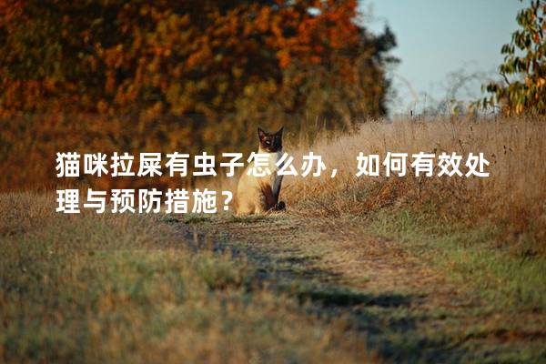 貓咪拉屎有蟲子怎么辦，如何有效處理與預(yù)防措施？