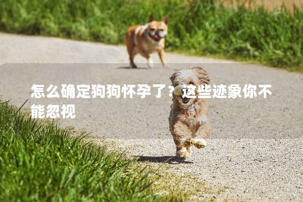 怎么確定狗狗懷孕了？這些跡象你不能忽視